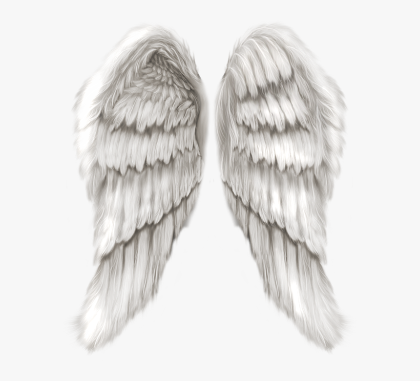 Detail Realistic Angel Wings Png Nomer 42