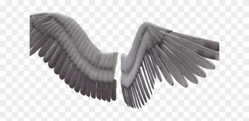 Detail Realistic Angel Wings Png Nomer 45