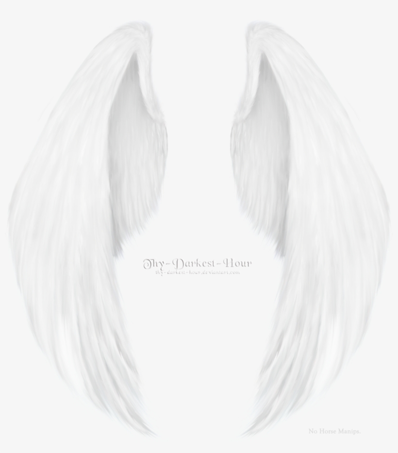 Detail Realistic Angel Wings Png Nomer 46