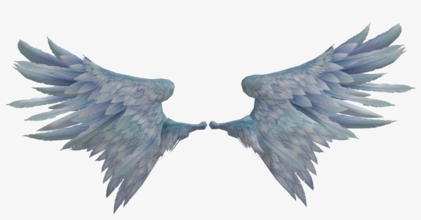 Detail Realistic Angel Wings Png Nomer 48