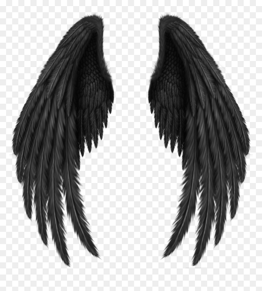 Detail Realistic Angel Wings Png Nomer 50