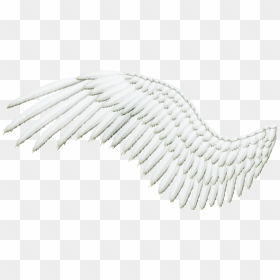 Detail Realistic Angel Wings Png Nomer 52