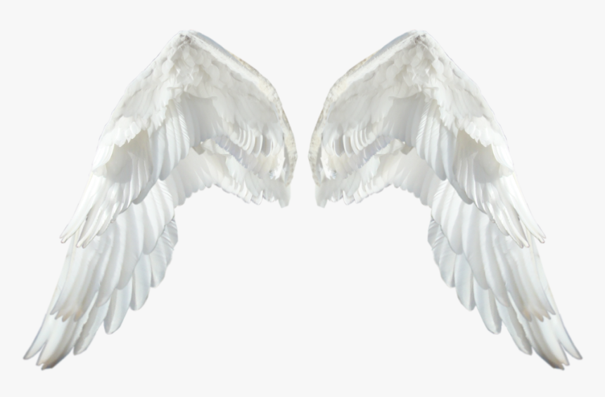 Detail Realistic Angel Wings Png Nomer 8