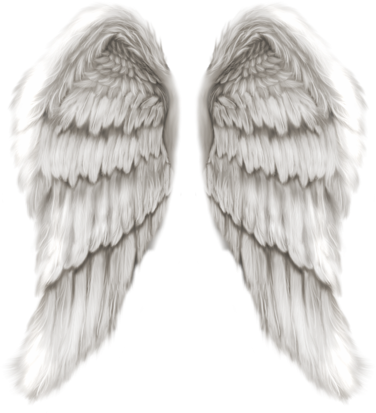 Detail Realistic Angel Wings Png Nomer 9