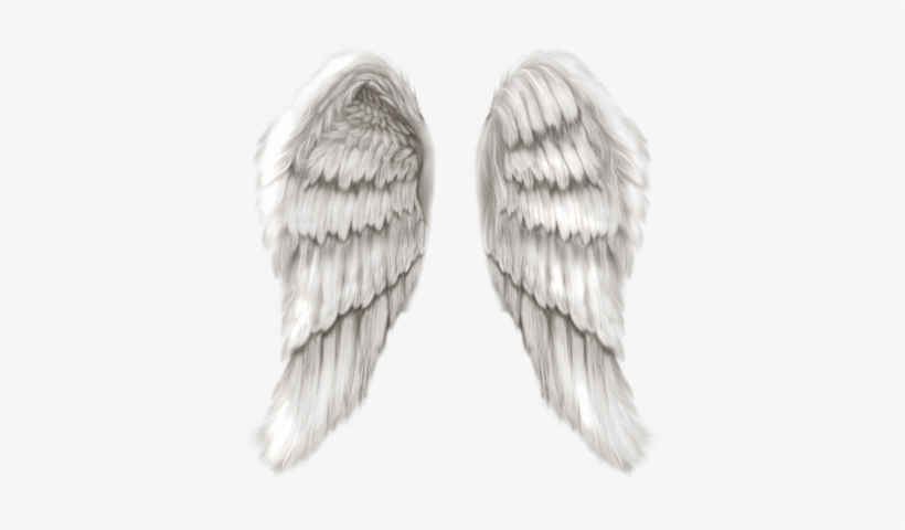 Detail Realistic Angel Wings Png Nomer 10