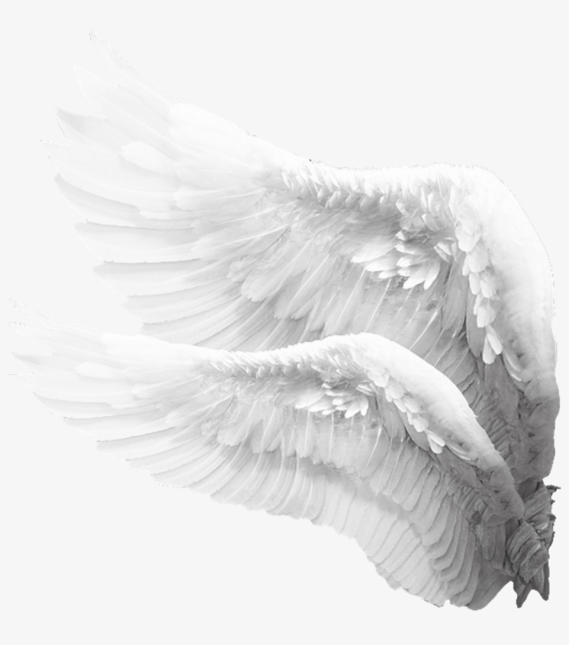 Realistic Angel Wings Side View - KibrisPDR