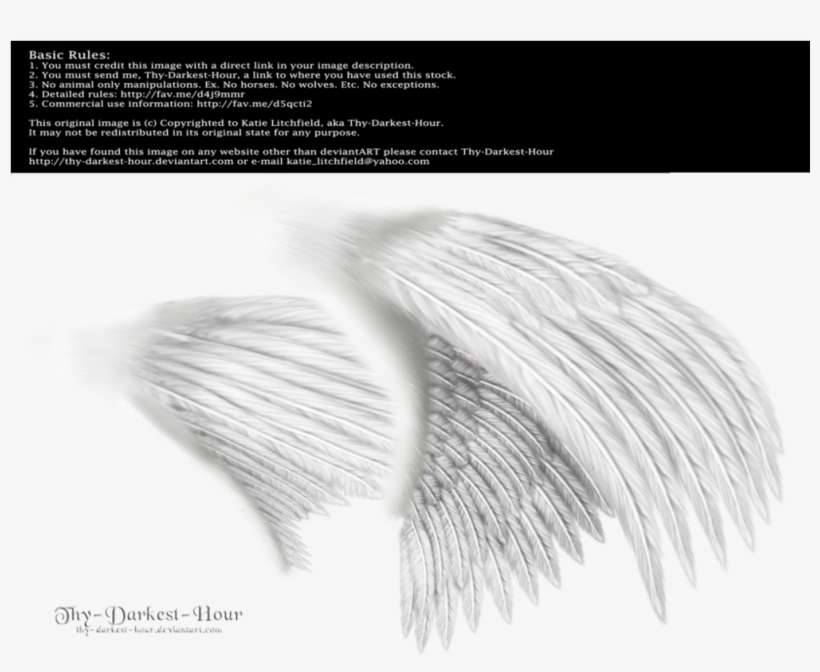 Detail Realistic Angel Wings Side View Nomer 18