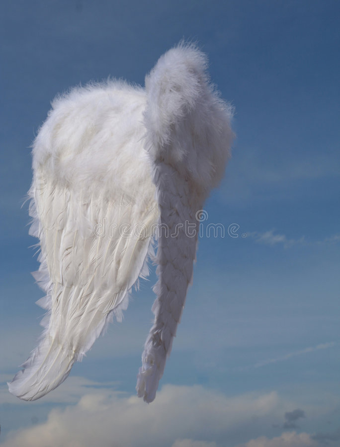 Detail Realistic Angel Wings Side View Nomer 38