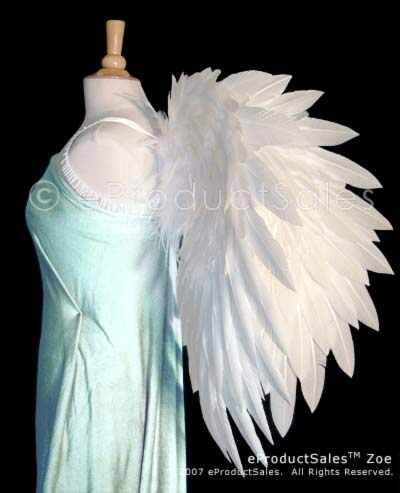 Detail Realistic Angel Wings Side View Nomer 43