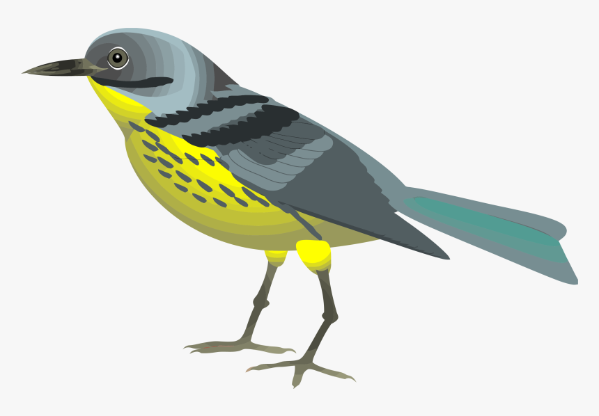 Detail Realistic Bird Clipart Nomer 12