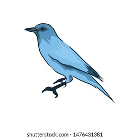 Detail Realistic Bird Clipart Nomer 31