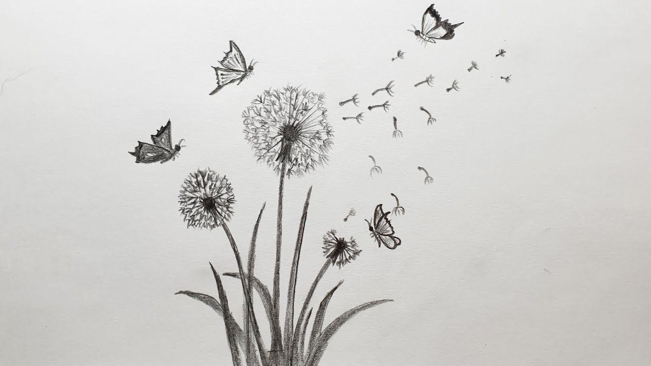 Detail Realistic Dandelion Drawing Nomer 2