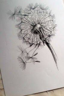 Detail Realistic Dandelion Drawing Nomer 18