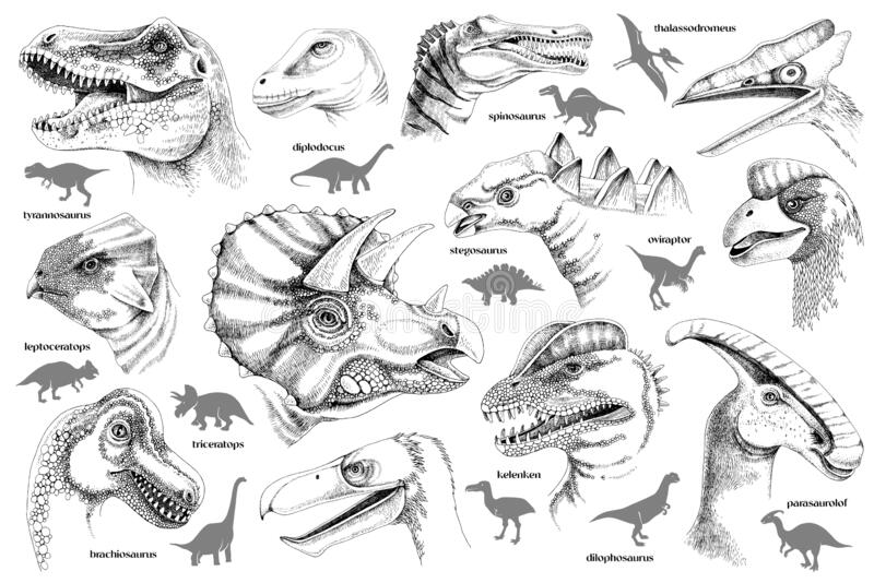 Detail Realistic Dinosaur Images Nomer 55