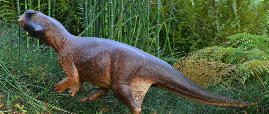 Detail Realistic Dinosaur Images Nomer 9