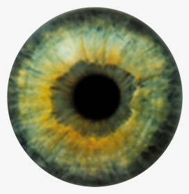 Detail Realistic Eye Png Nomer 15