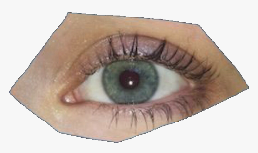 Detail Realistic Eye Png Nomer 34