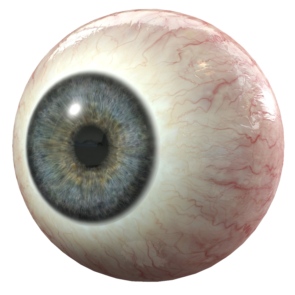 Detail Realistic Eye Png Nomer 43