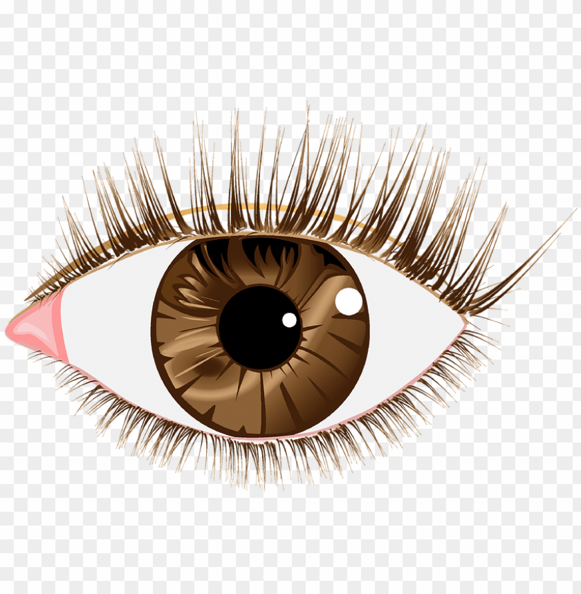 Detail Realistic Eye Transparent Nomer 17