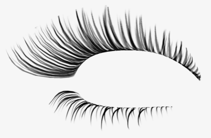 Realistic Eyelashes Png - KibrisPDR