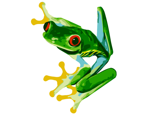 Detail Realistic Frog Clipart Nomer 13