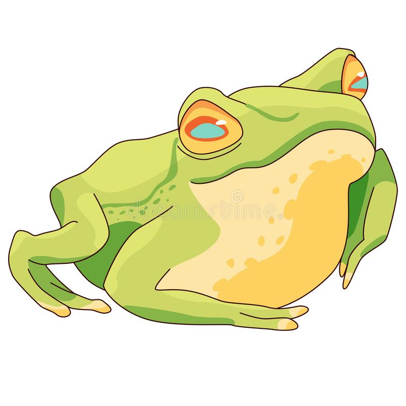 Detail Realistic Frog Clipart Nomer 16