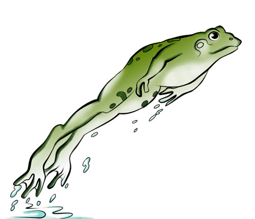 Detail Realistic Frog Clipart Nomer 37