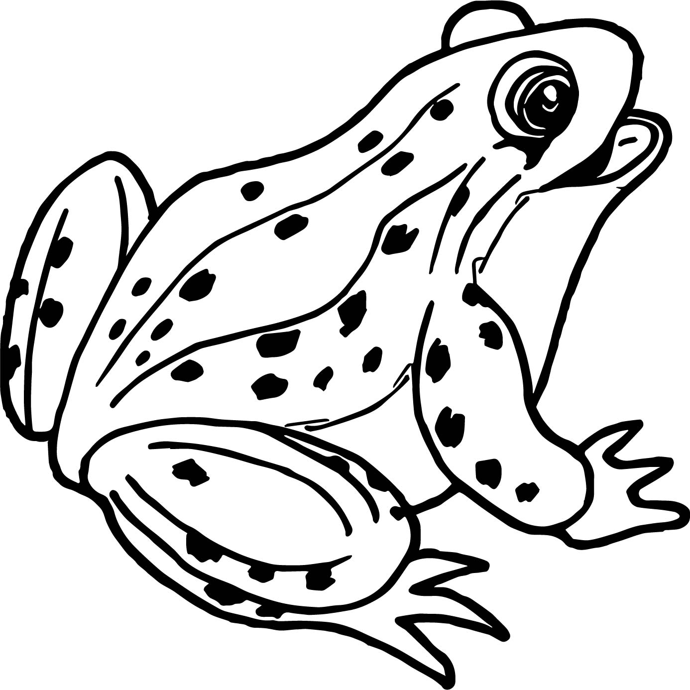 Detail Realistic Frog Clipart Nomer 44