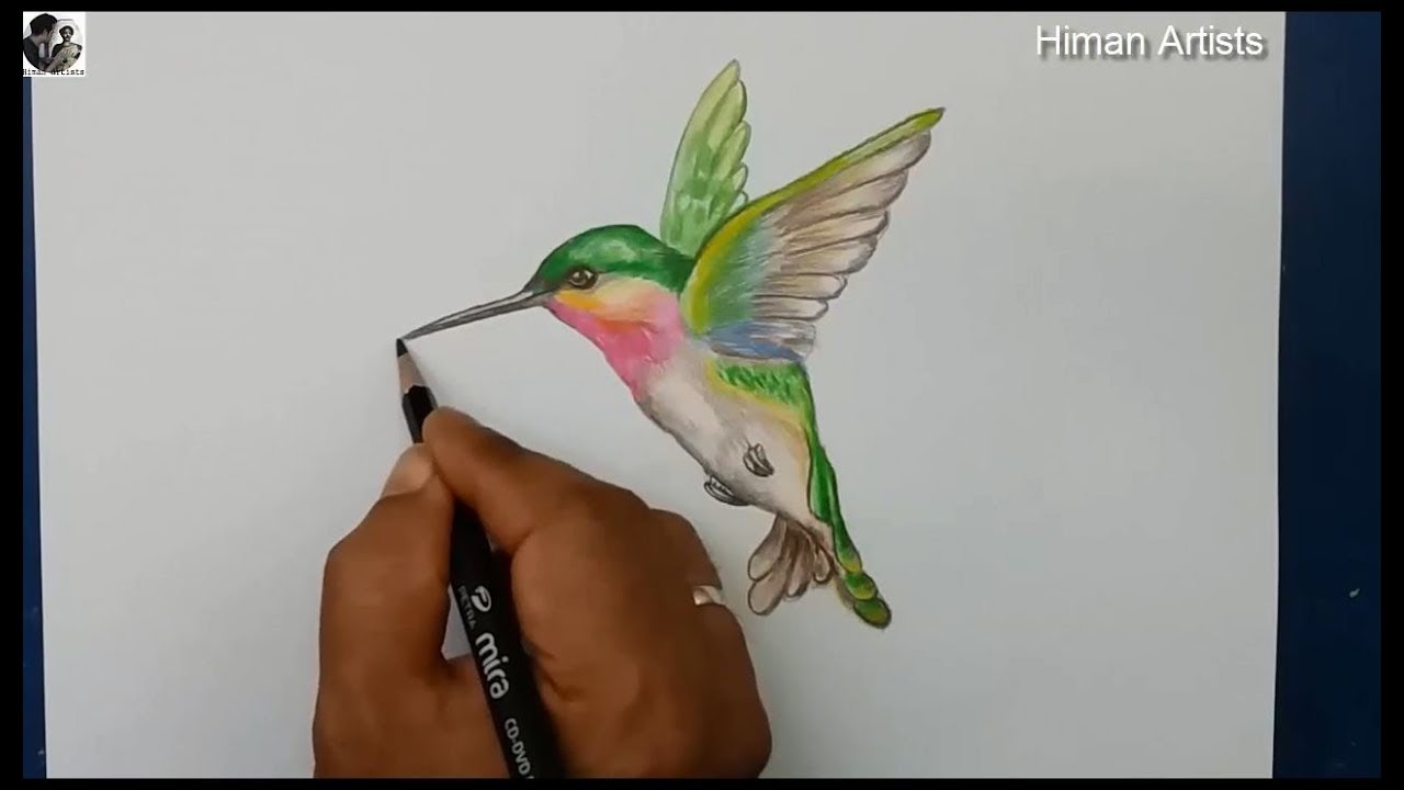 Detail Realistic Hummingbird Painting Nomer 17