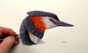 Detail Realistic Hummingbird Painting Nomer 20