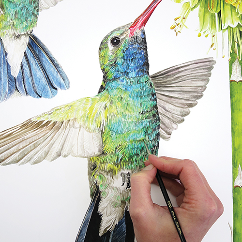 Detail Realistic Hummingbird Painting Nomer 23