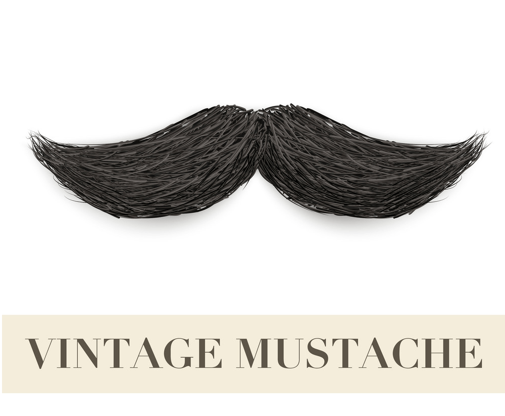 Detail Realistic Moustache Png Nomer 26