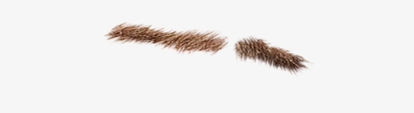 Detail Realistic Moustache Png Nomer 35