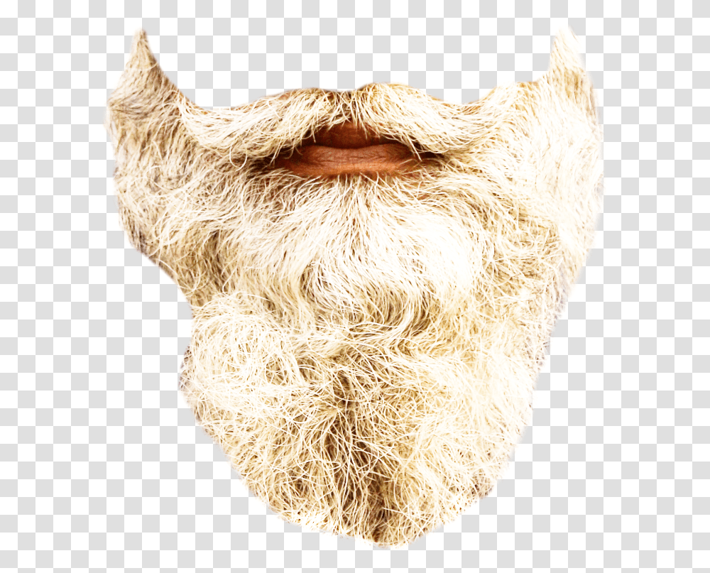 Detail Realistic Moustache Png Nomer 41
