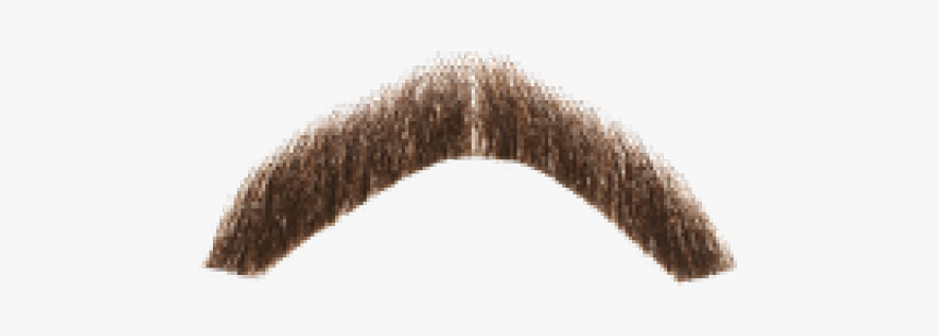 Detail Realistic Moustache Png Nomer 5