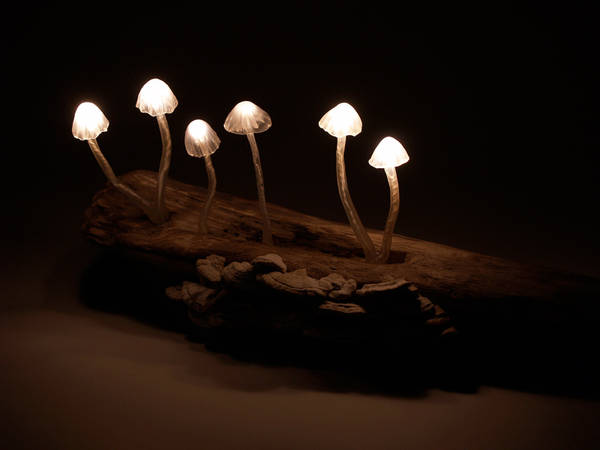 Detail Realistic Mushroom Lamp Nomer 16