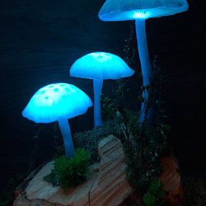 Detail Realistic Mushroom Lamp Nomer 32