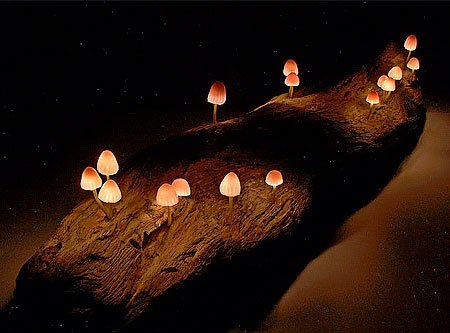 Detail Realistic Mushroom Lamp Nomer 46