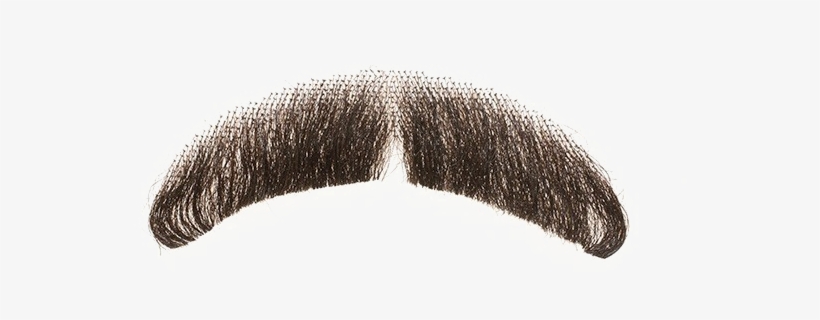 Detail Realistic Mustache Png Nomer 9