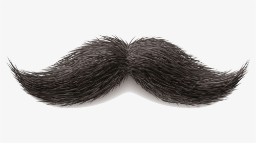 Detail Realistic Mustache Png Nomer 11