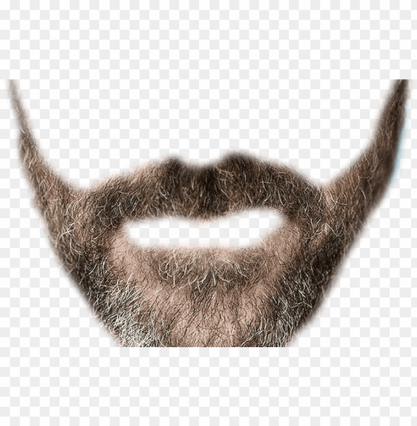 Detail Realistic Mustache Png Nomer 14