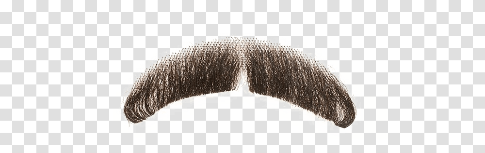 Detail Realistic Mustache Png Nomer 19