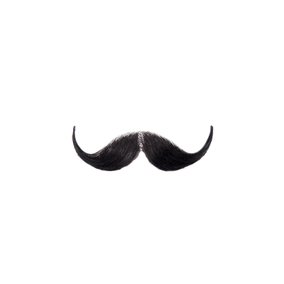 Detail Realistic Mustache Png Nomer 25