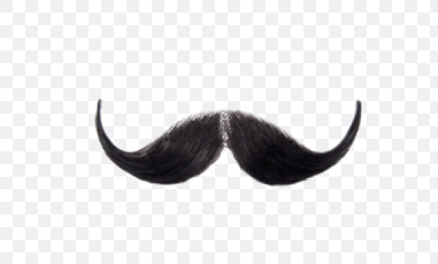 Detail Realistic Mustache Png Nomer 26