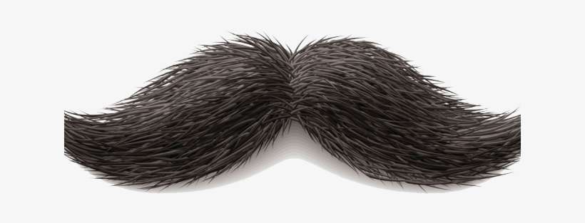 Detail Realistic Mustache Png Nomer 29