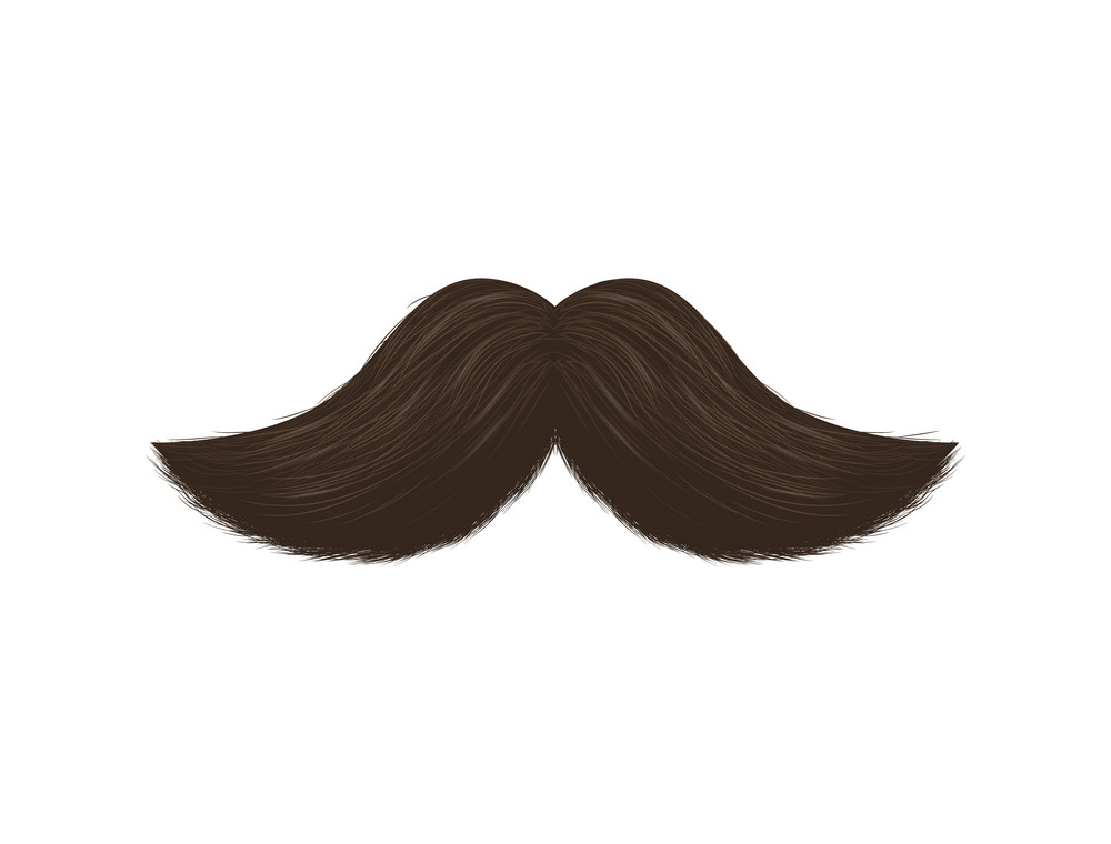 Detail Realistic Mustache Png Nomer 30