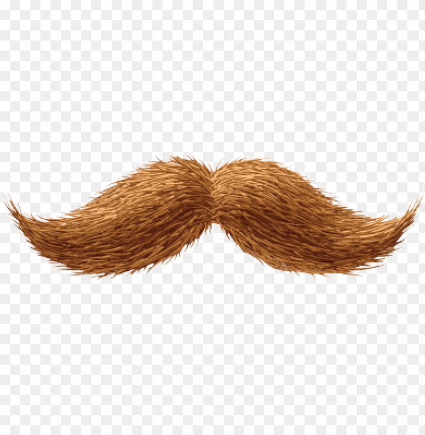 Detail Realistic Mustache Png Nomer 38