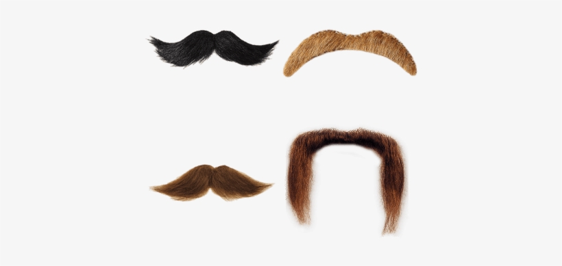 Detail Realistic Mustache Png Nomer 39