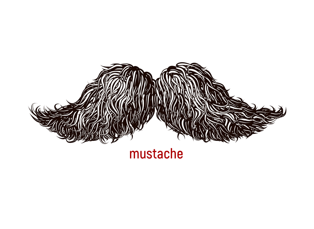 Detail Realistic Mustache Png Nomer 45