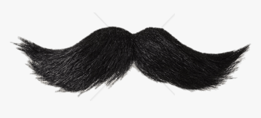 Detail Realistic Mustache Png Nomer 7